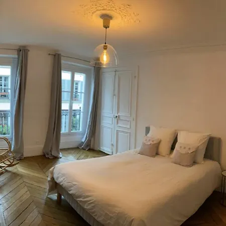 Charming And Luminous Opera -montmartre - Rue Des Martyrs * Paris